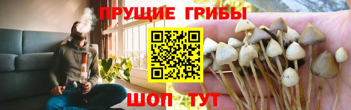Галлюциногенные грибы Psilocybine cubensis  Вход с VPN  Белебей 